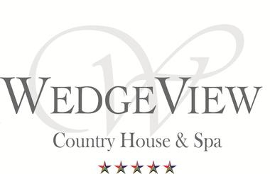 WedgeView Logo